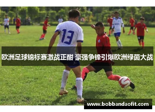 欧洲足球锦标赛激战正酣 豪强争锋引爆欧洲绿茵大战
