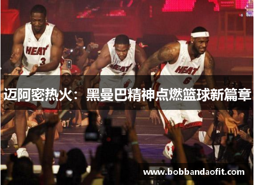 迈阿密热火：黑曼巴精神点燃篮球新篇章