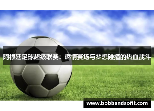 阿根廷足球超级联赛：燃情赛场与梦想碰撞的热血战斗